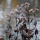 Herbst Impressionen 