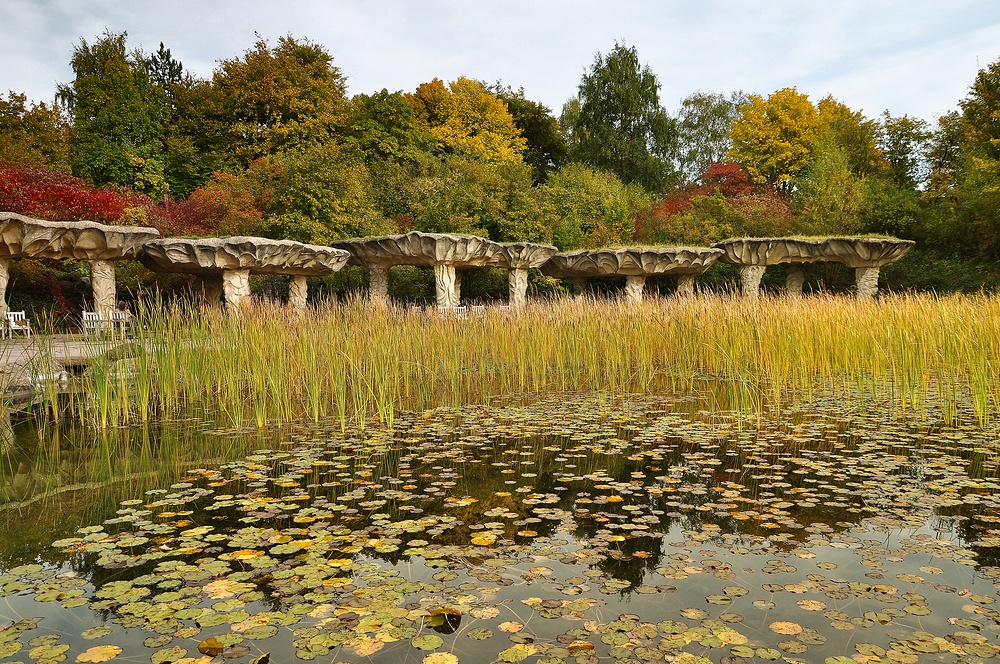 Herbst-Impressionen.........