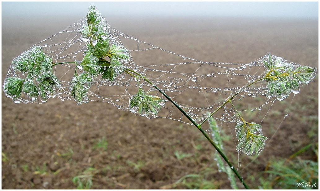 Herbst - Impressionen ,