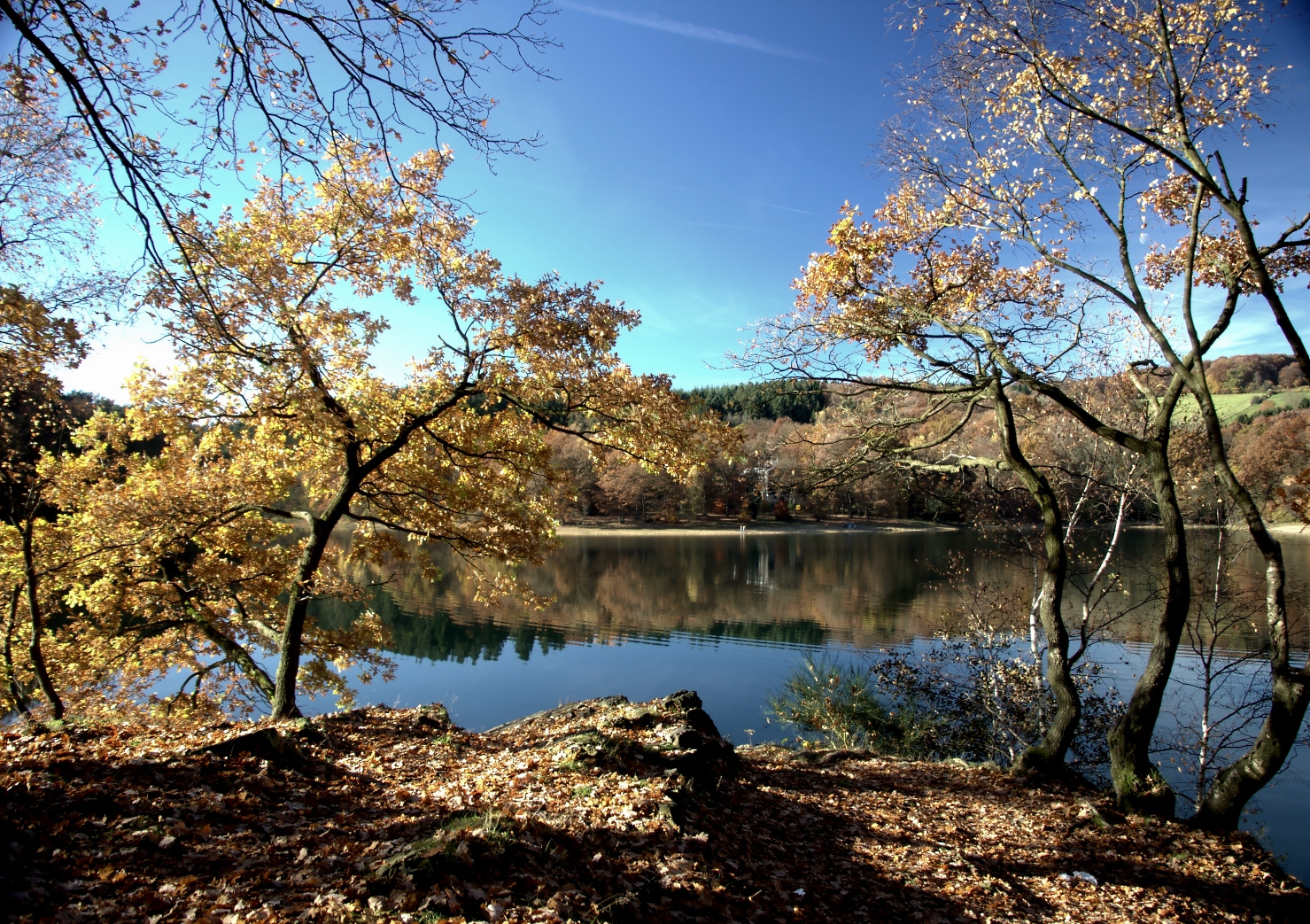 Herbst Impressionen 2