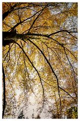 Herbst - Impressionen 2