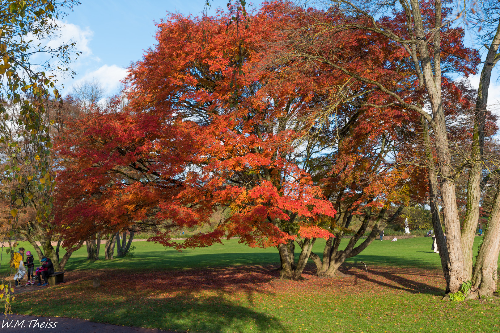 Herbst Impressionen 2