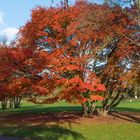 Herbst Impressionen 2