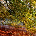 Herbst Impressionen 2