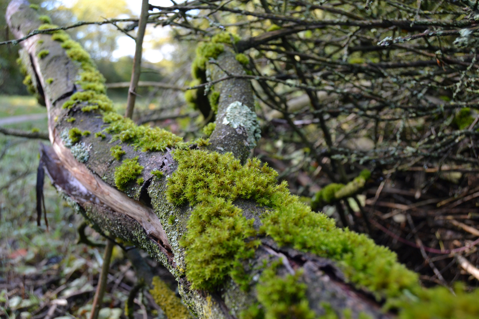 Herbst-Impressionen