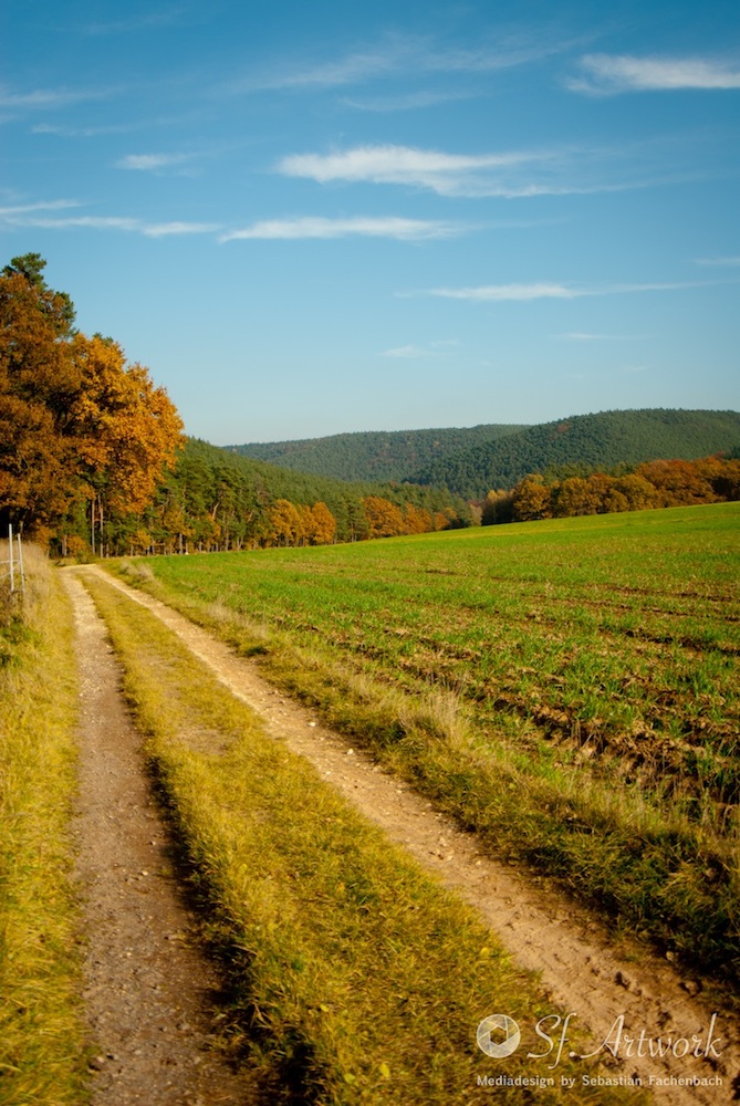 Herbst-Impressionen