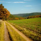 Herbst-Impressionen