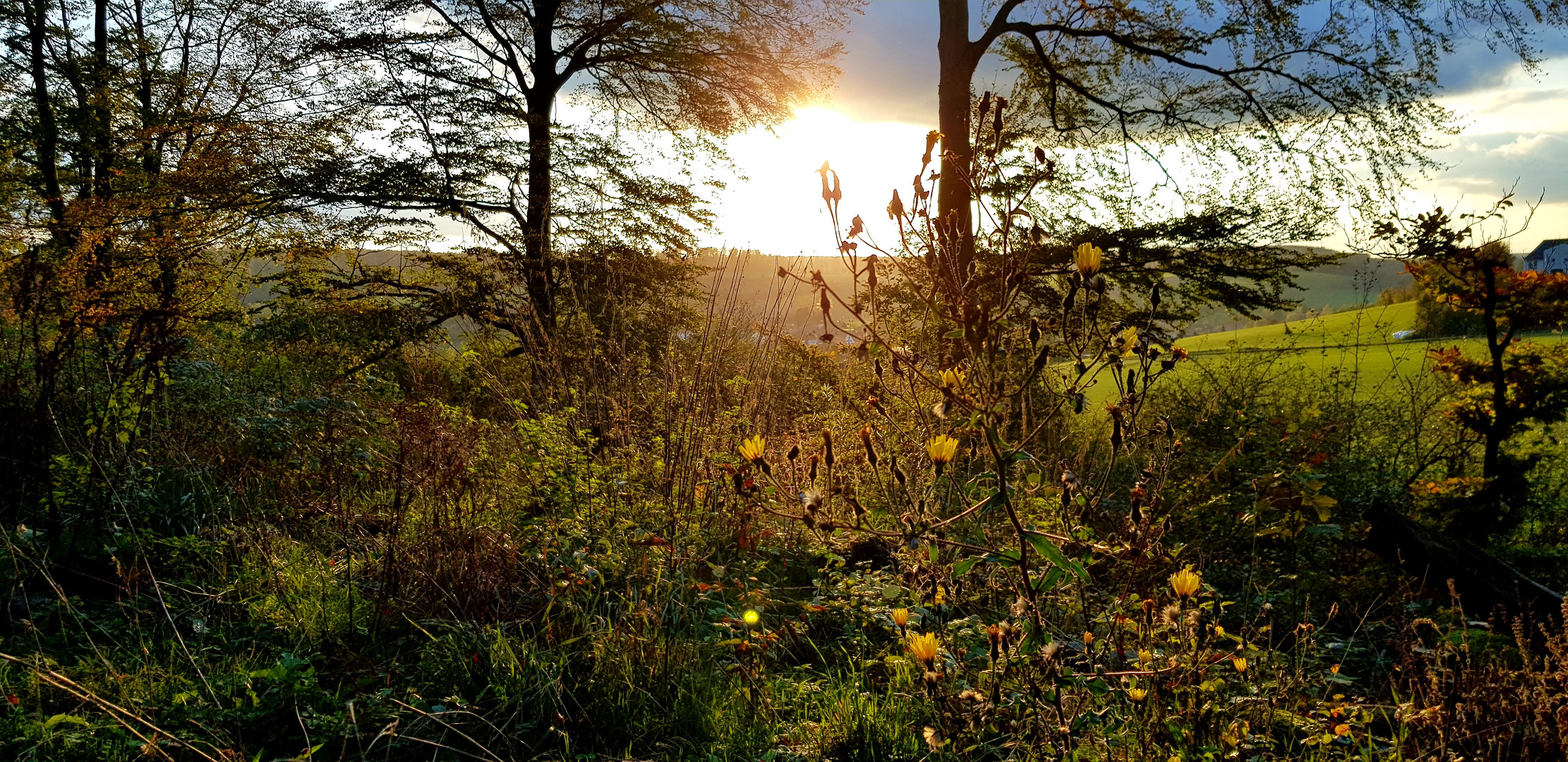 Herbst Impressionen 