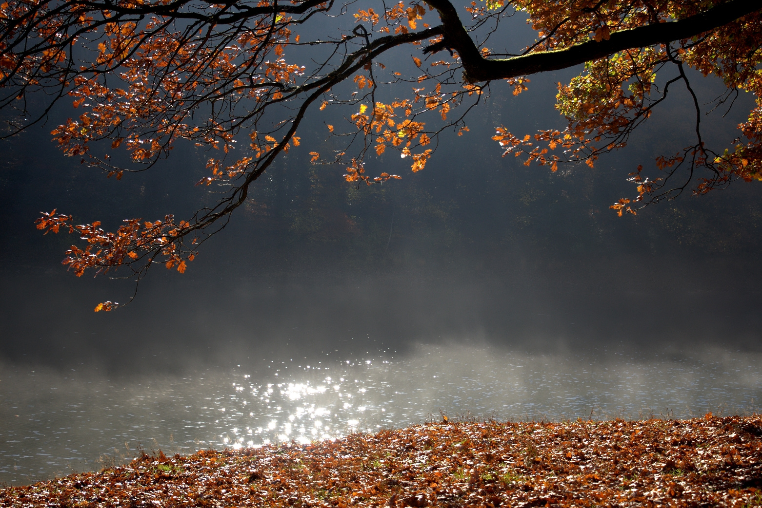 Herbst Impressionen 3