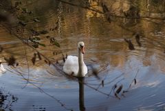 Herbst Impressionen 3