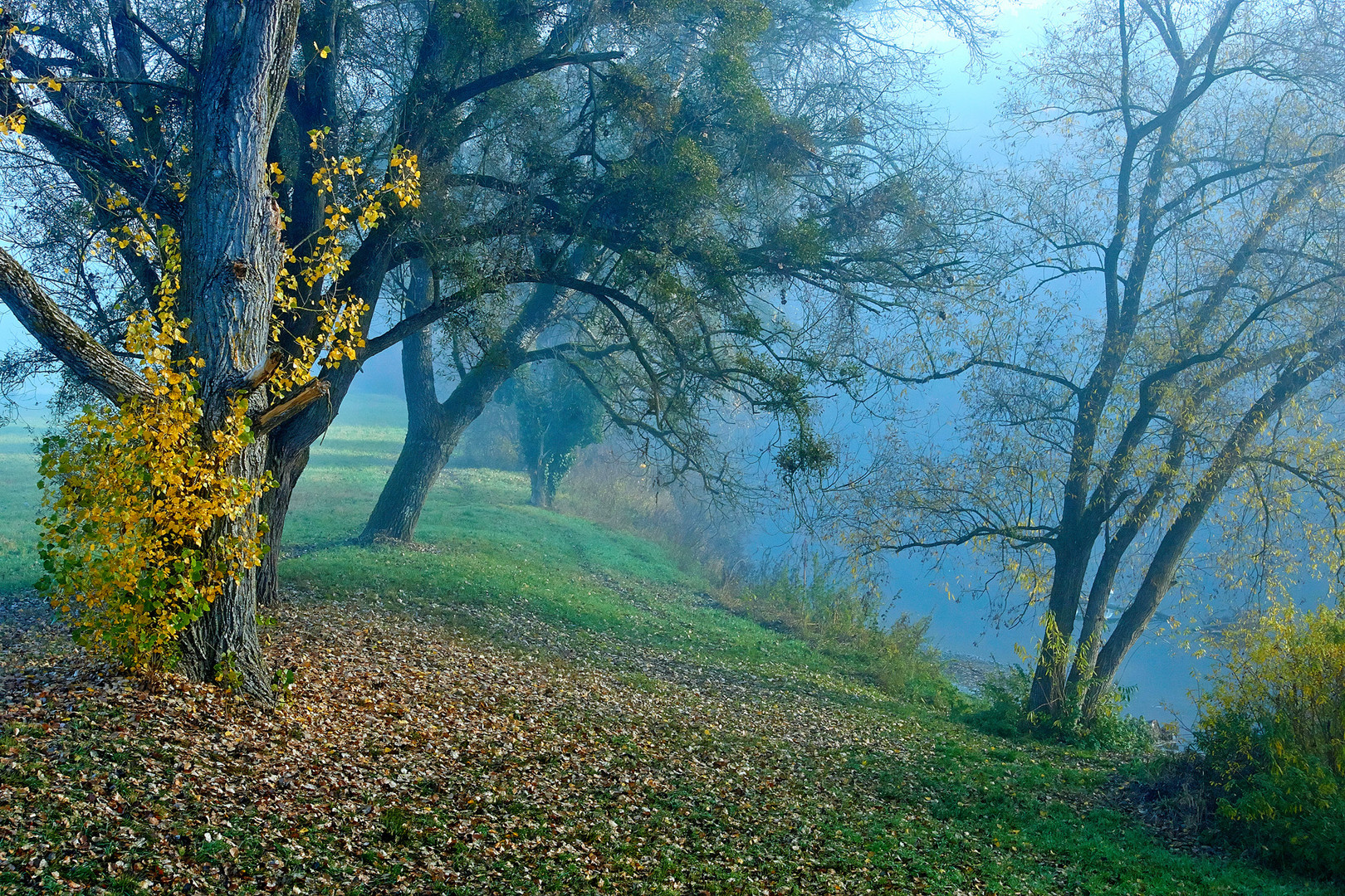 Herbst Impressionen 3