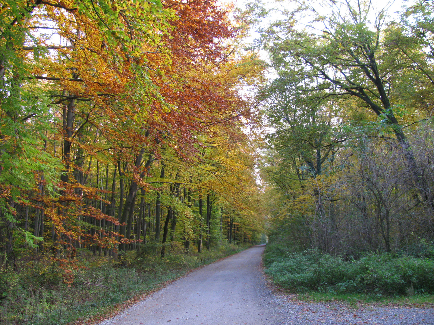 Herbst-Impressionen