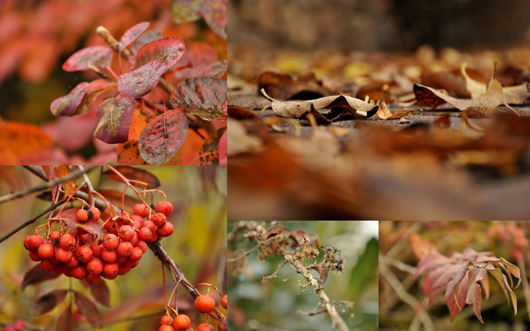 Herbst impressionen.