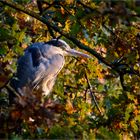 Herbst-Impressionen