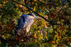 Herbst-Impressionen