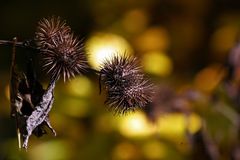 " Herbst - Impressionen "