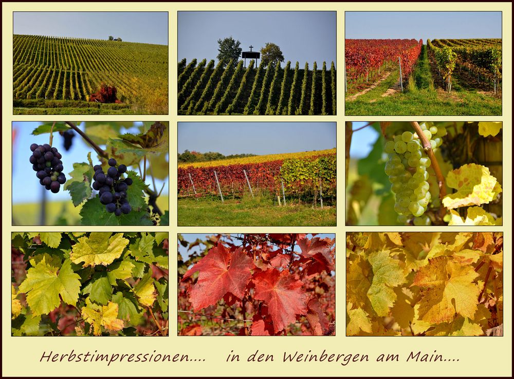 Herbst.......... Impressionen