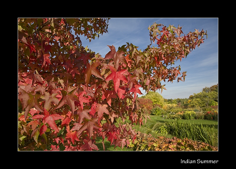 Herbst Impressionen