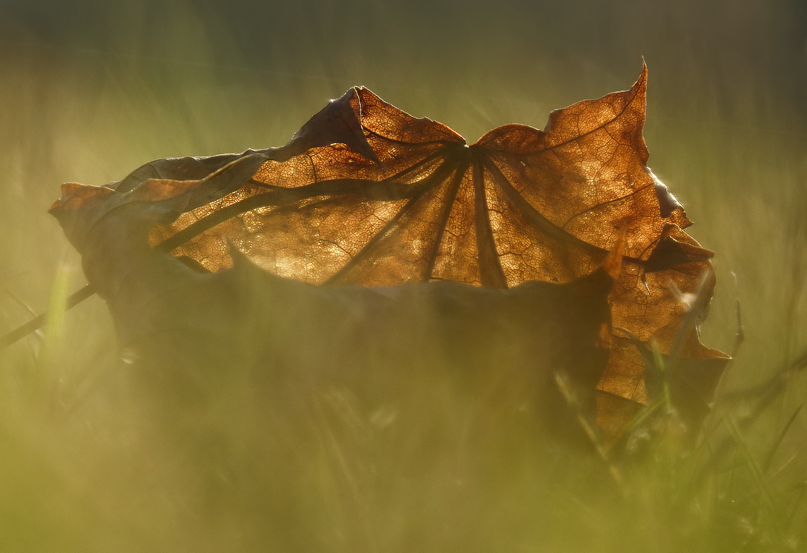 Herbst Impressionen