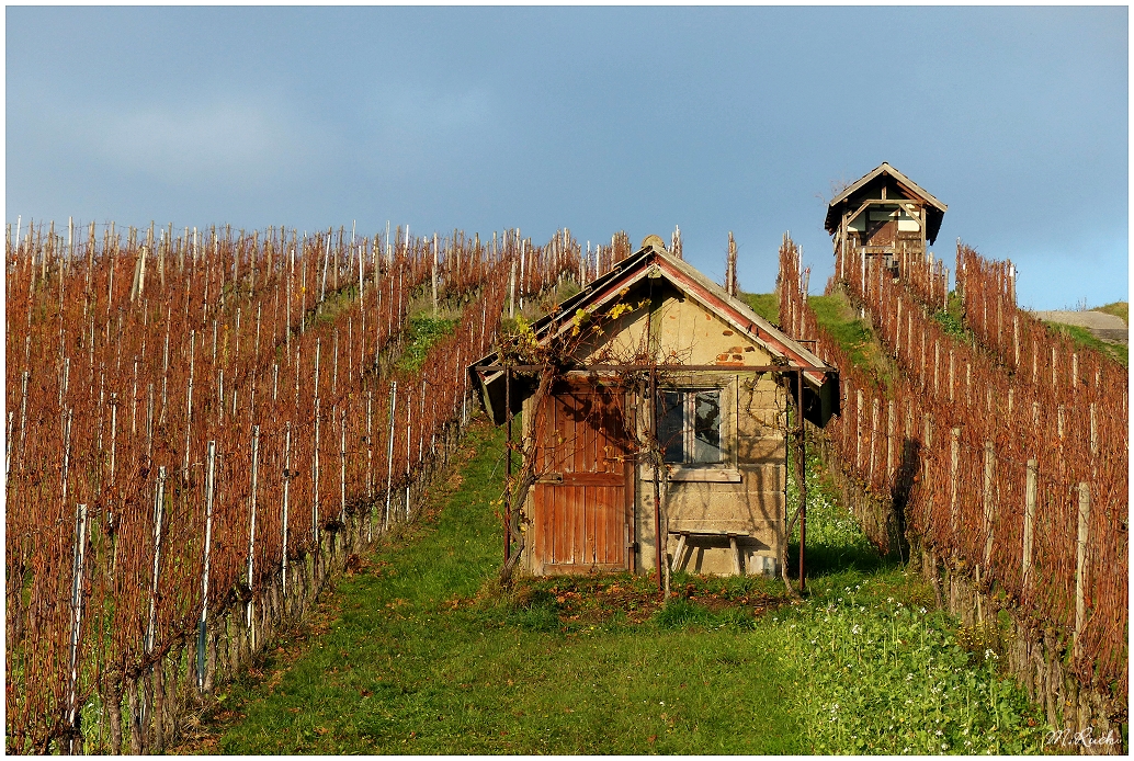 Herbst - Impressionen , 73