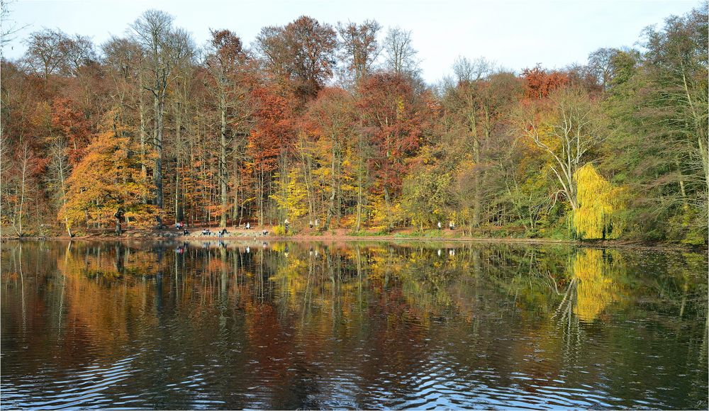 Herbst-Impressionen