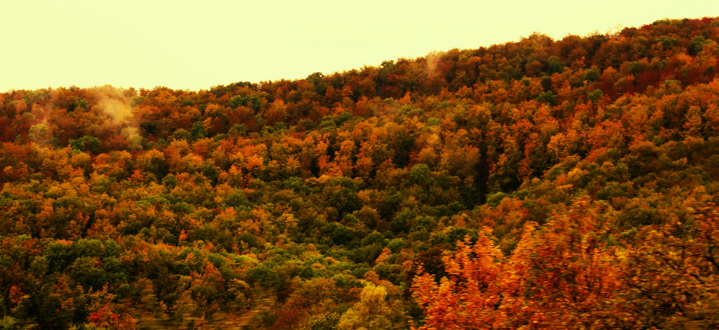  Herbst Impressionen