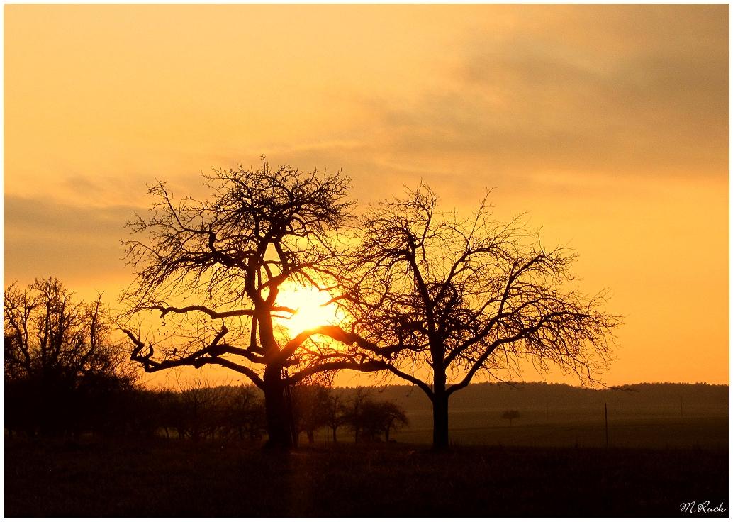 Herbst - Impressionen , 79