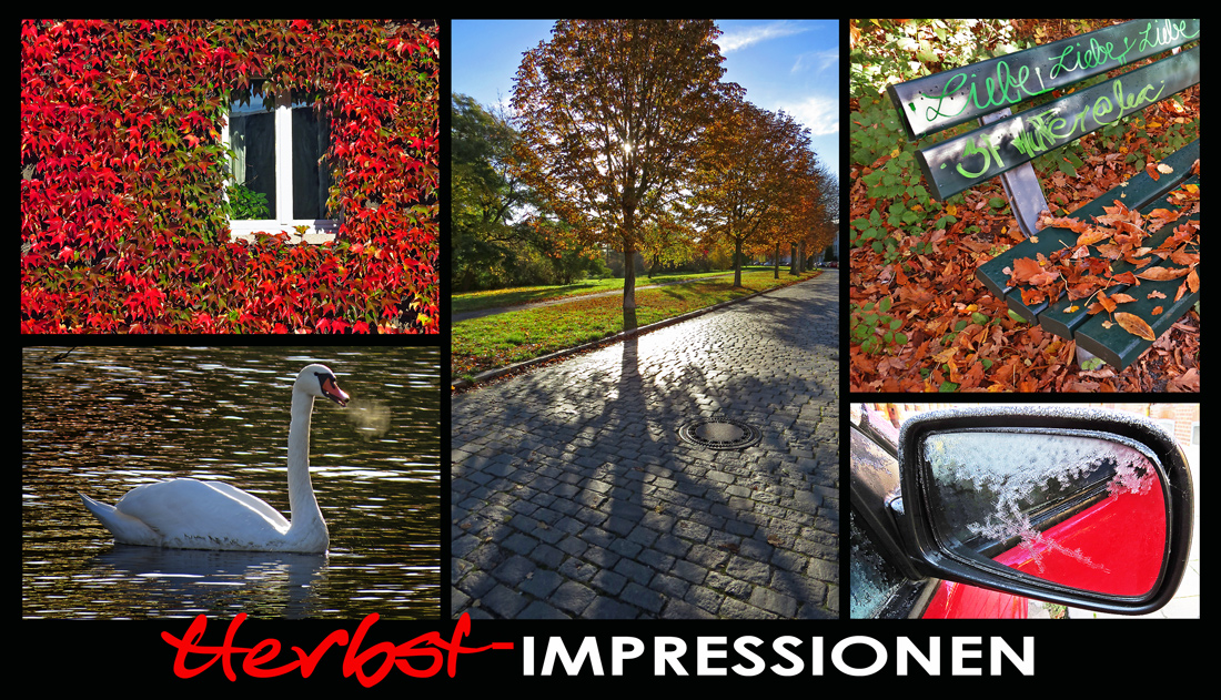 HERBST-IMPRESSIONEN