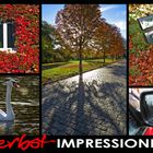 HERBST-IMPRESSIONEN