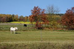 Herbst. Impressionen