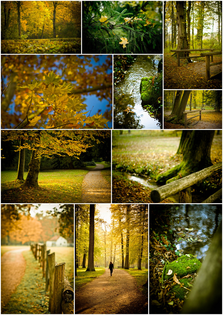 Herbst Impressionen