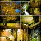 Herbst Impressionen