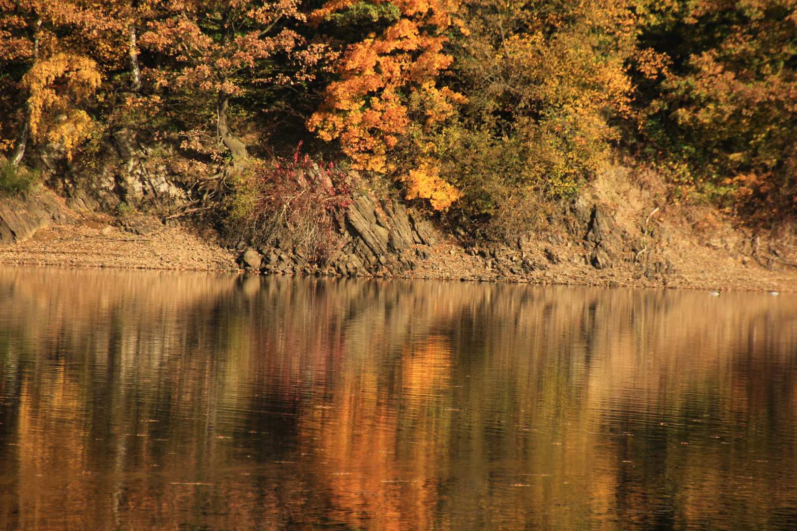 Herbst-Impressionen