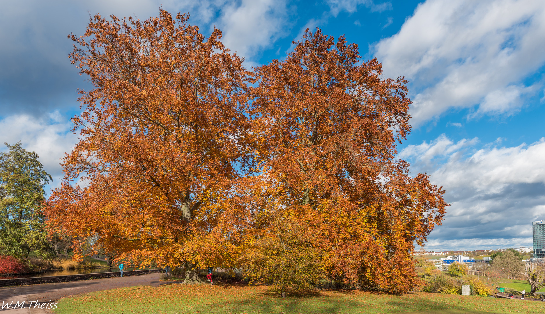 Herbst Impressionen