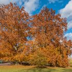 Herbst Impressionen