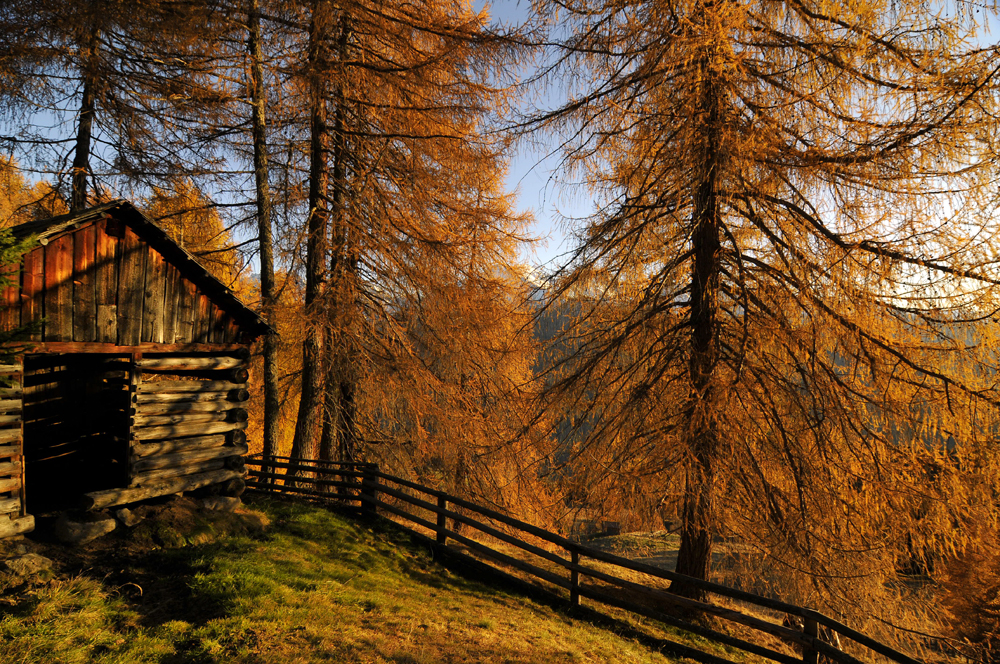 Herbst Impressionen