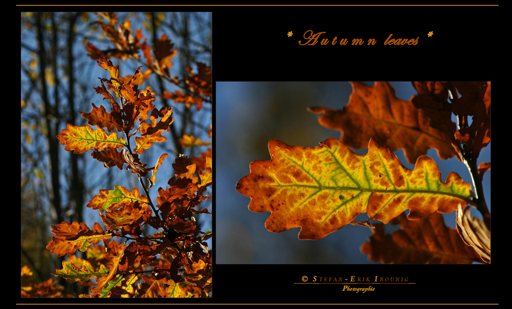 " Herbst - Impressionen "