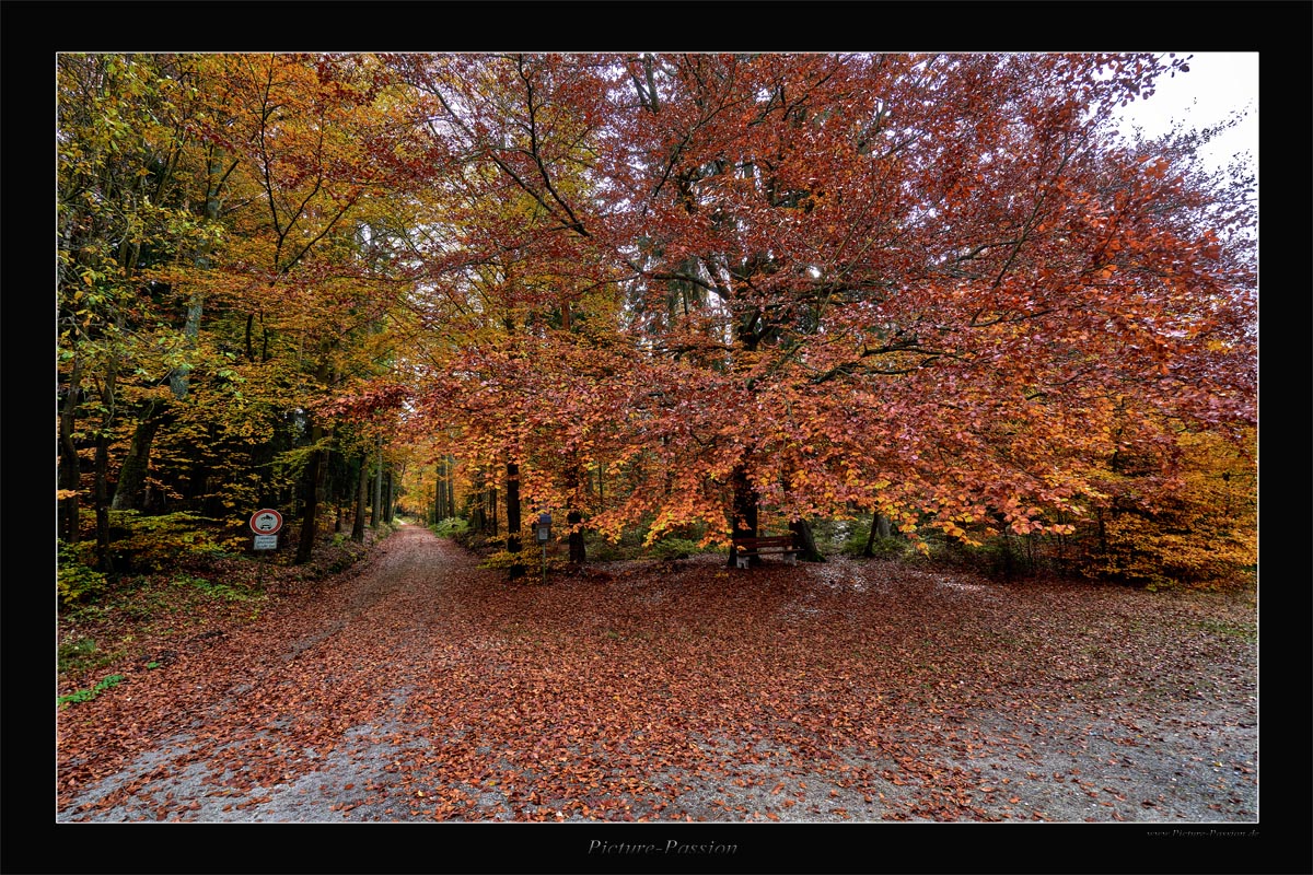 Herbst Impressionen