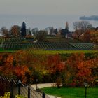 Herbst Impressionen am Bodensee 1