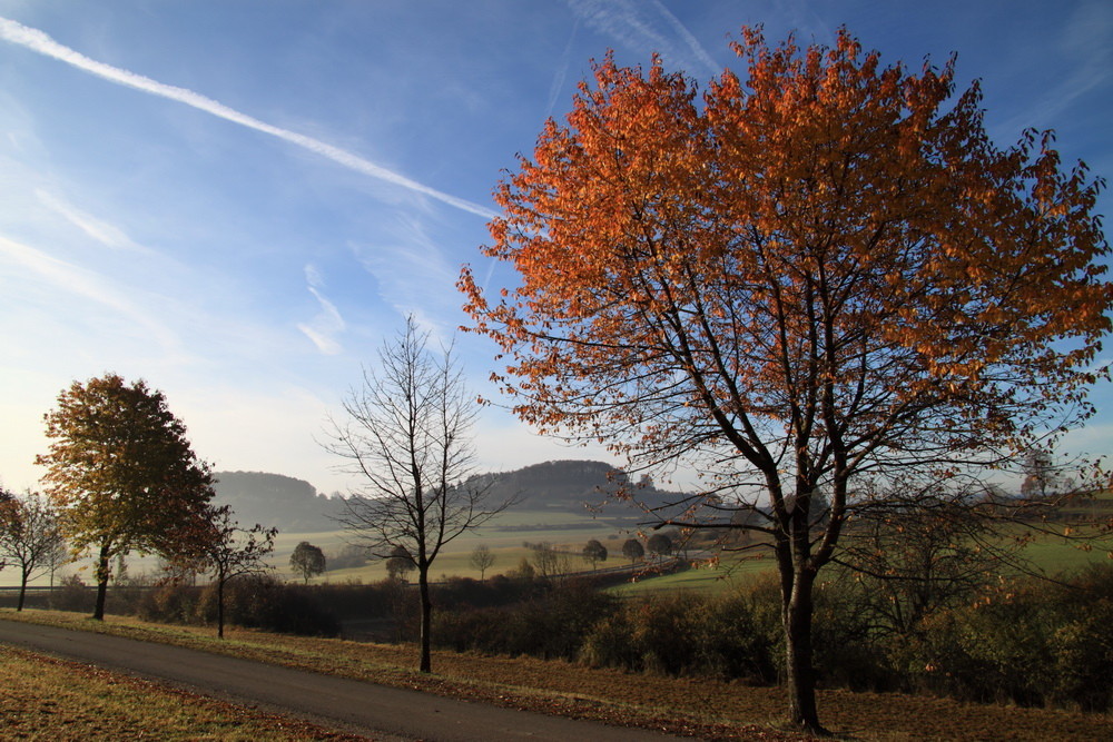 Herbst-Impressionen am Kornbühl