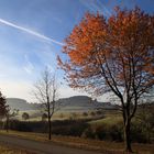 Herbst-Impressionen am Kornbühl