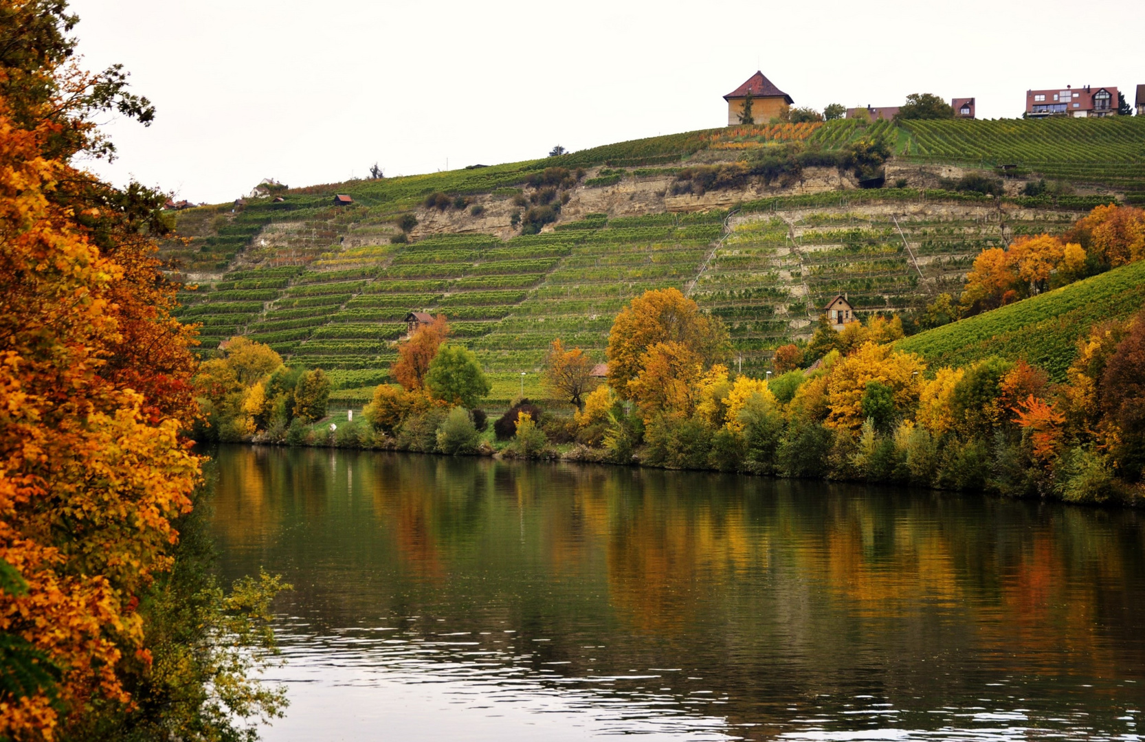 Herbst Impressionen  am Neckar 1