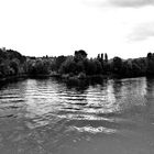 Herbst Impressionen am Neckar 2