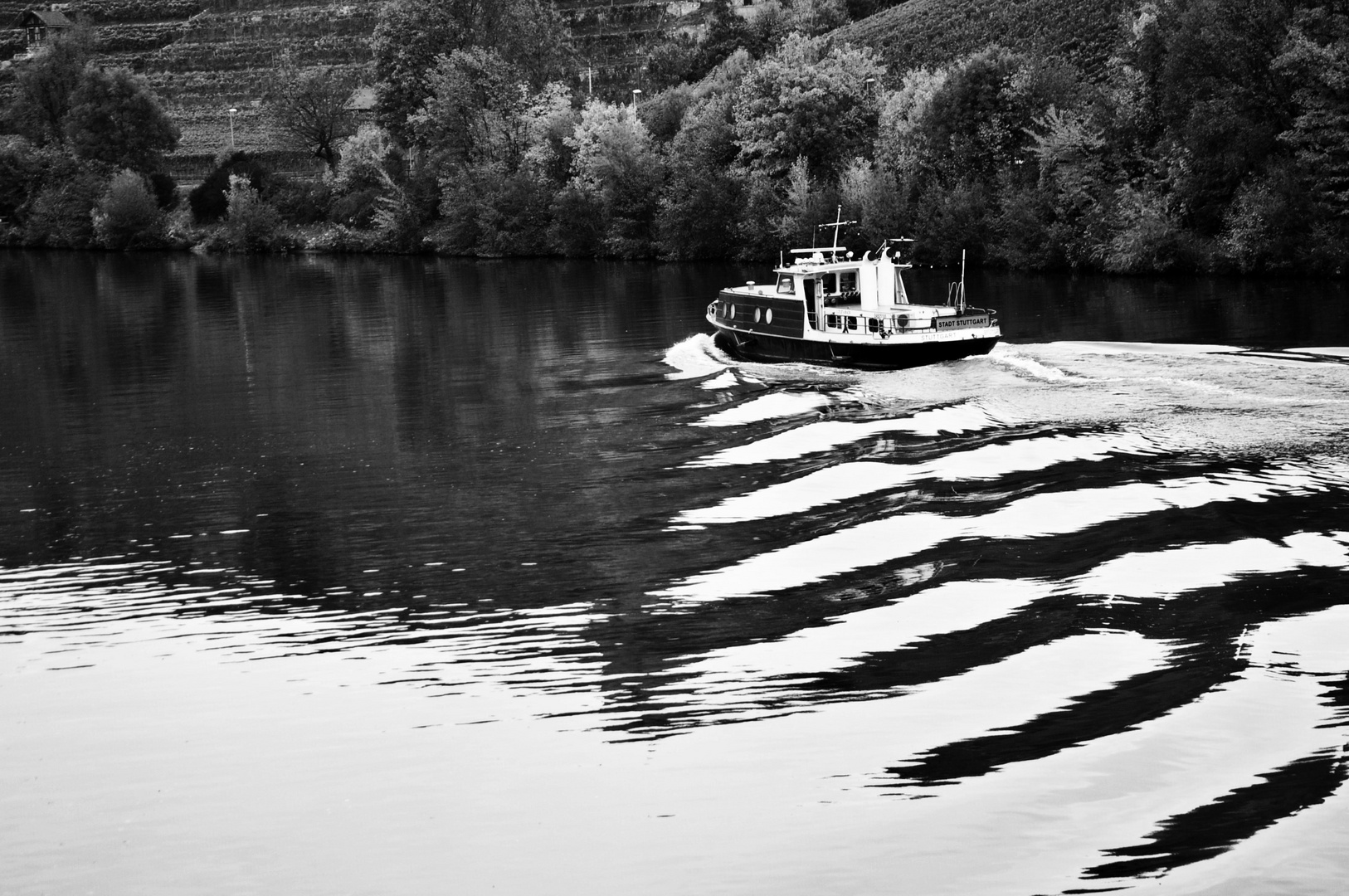 Herbst Impressionen am Neckar 7