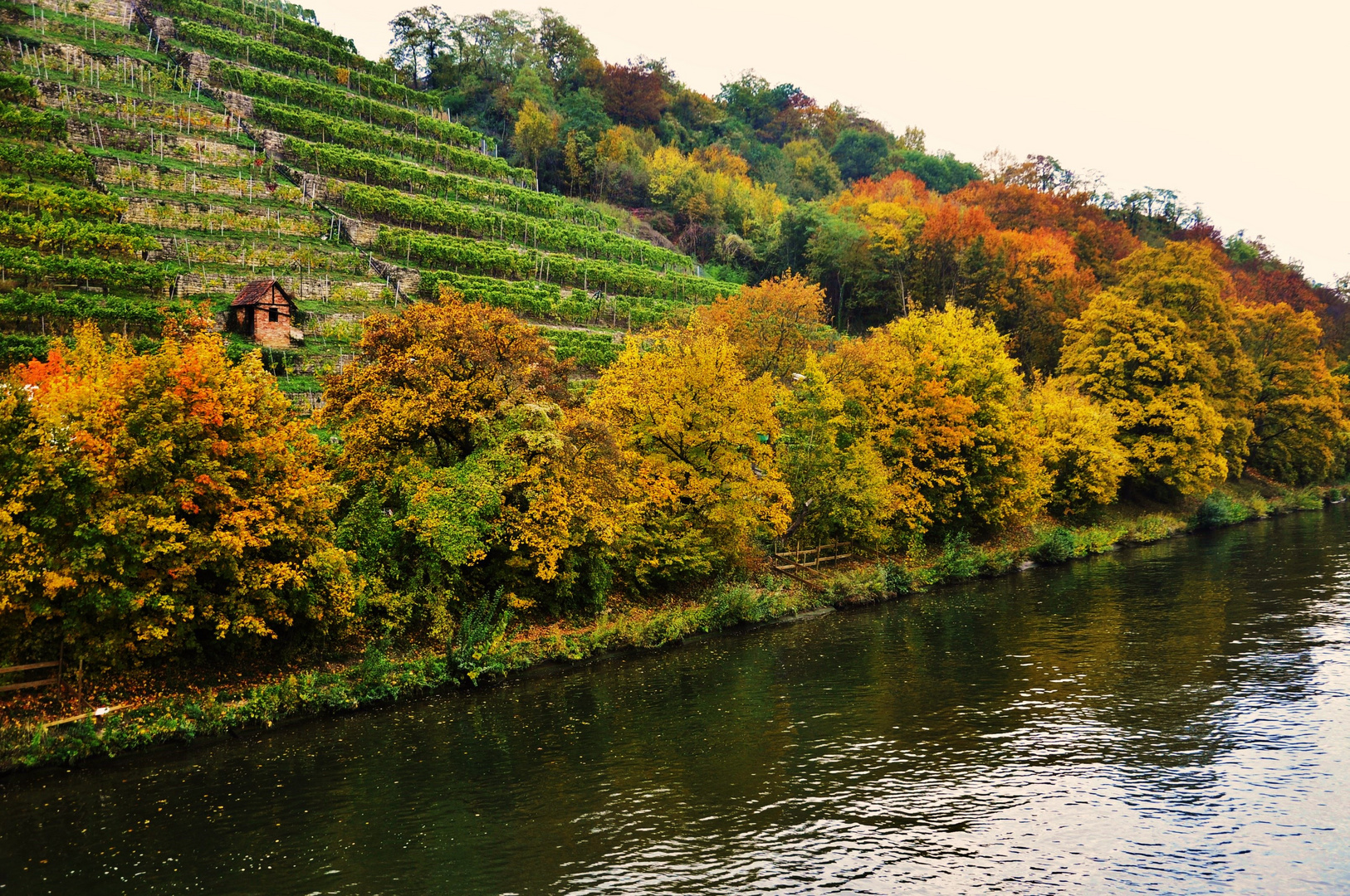 Herbst Impressionen am Neckar  8