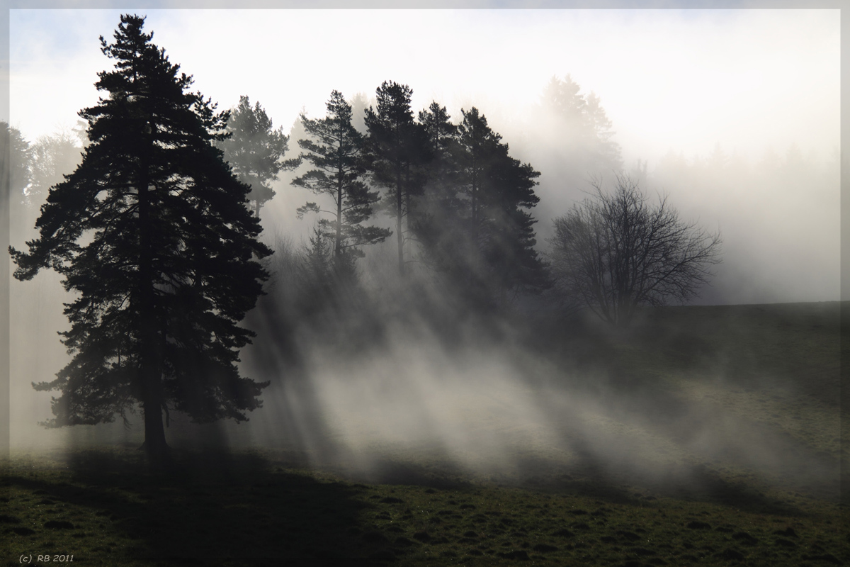 Herbst-Impressionen am Raichberg