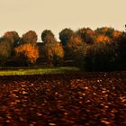 Herbst Impressionen auf dem Land