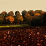 Herbst Impressionen auf dem Land