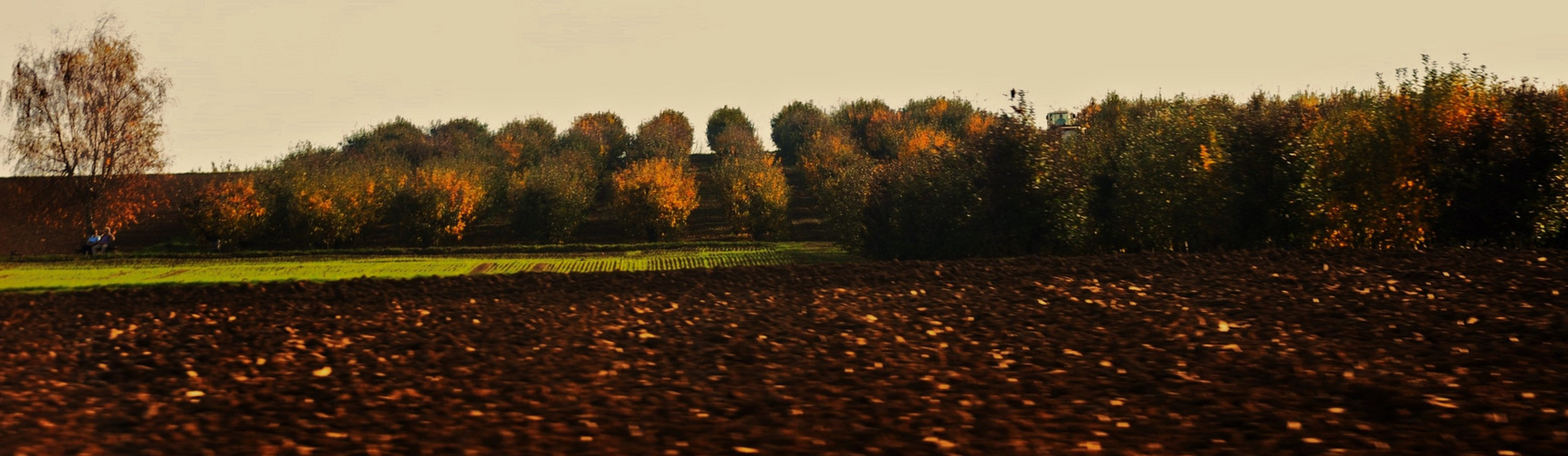 Herbst Impressionen auf dem Land