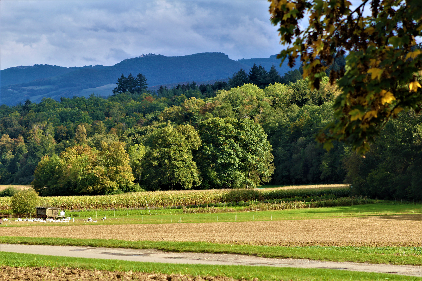 Herbst Impressionen auf dem Land